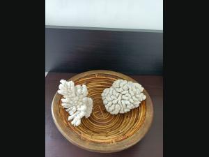Lot de 2 Coraux blanc et une corbeille cerclé de laiton.