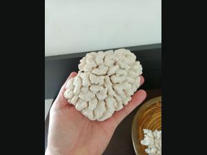 Lot de 2 Coraux blanc et une corbeille cerclé de laiton.