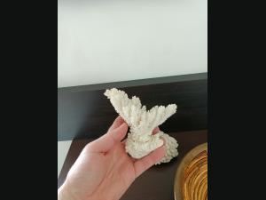 Lot de 2 Coraux blanc et une corbeille cerclé de laiton.