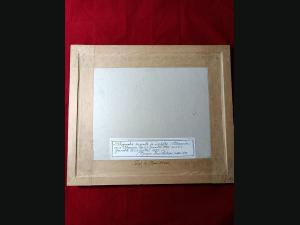 Lithographie originale aquarellée 1835 par Alexandre Debelle (1805-1897).