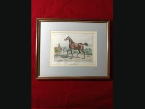 Lithographie couleur , 19e , impréssion de P.Bineteau.