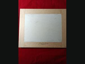 Lithographie couleur , 19e , impréssion de P.Bineteau.