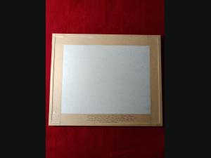 Gravure colorisée époque Louis Philippe sur acier. Avignon