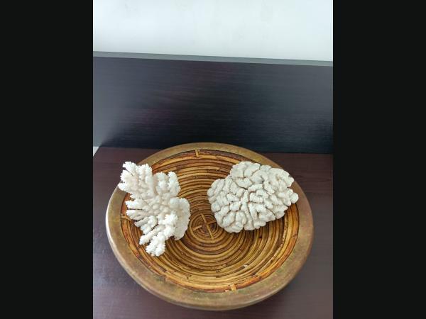 Lot de 2 Coraux blanc et une corbeille cerclé de laiton.