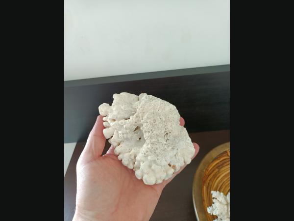 Lot de 2 Coraux blanc et une corbeille cerclé de laiton.