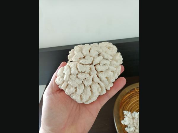 Lot de 2 Coraux blanc et une corbeille cerclé de laiton.
