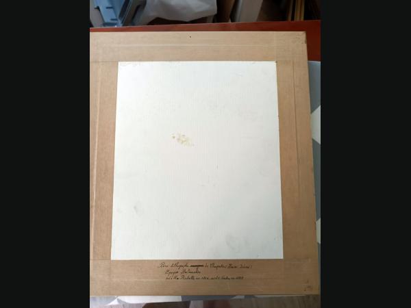 Lithographie de Charpentier " Femme de Nogent-le-rotrou " époque Restauration .