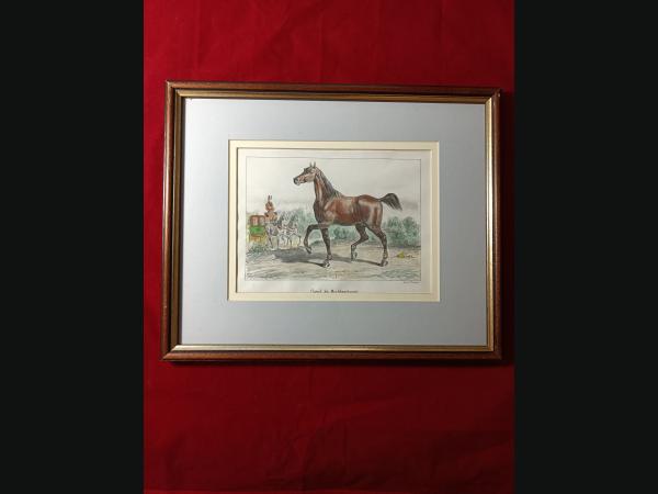Lithographie couleur , 19e , impréssion de P.Bineteau.