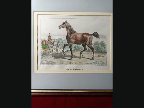 Lithographie couleur , 19e , impréssion de P.Bineteau.