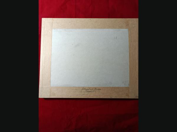 Lithographie couleur , 19e , impréssion de P.Bineteau.