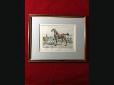 Lithographie couleur , 19e , impréssion de P.Bineteau.